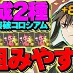2-3枚抜き！誰でも組める限界突破コロシアム周回編成！2パターン解説！+891を作ろう！【パズドラ】