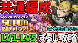 5000日ダンジョンをキコル共通編成で攻略！宝玉250個を14分でゲットしよう！LV1-LV5対応！【パズドラ】