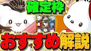 ポチャッコって今更本当に必要？サンリオコラボ確定枠オススメキャラ解説！【パズドラ】