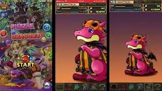 【パズドラにハロウィンがやってきたー!!】ハロウィンガチャ 今年のガチャの引きやばいぞ!!