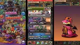【パズドラにハロウィンがやってきたー！！】ハロウィンガチャ　今年のガチャの引きやばいぞ！！