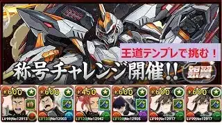 【パズドラ】銀翼チャレンジ！　日比野カフカ＆亜白ミナ編成　王道テンプレで挑む！