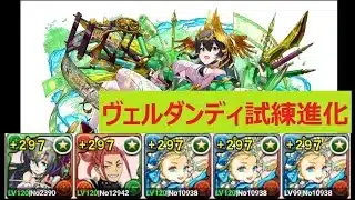 【パズドラ】ヴェルダンディ試練進化　バレノア＆タエ編成