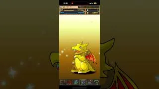 【1連】デジモン来るのに貯めれません【パズドラ】