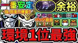 【環境1位】一番安定(脳死できる)最強テンプレ解説！月チャレンジ周回！指,回復力爆盛り&バッジ自由！インペリアルドラモン入りオメガモン編成！代用・立ち回り解説！デジモンコラボ【パズドラ】