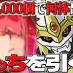 【残り10時間】無料魔法石大量発見⁉︎ ゴッフェかデジモン結局どっちを引くのが正解だった？【パズドラ】