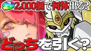 【残り10時間】無料魔法石大量発見⁉︎ ゴッフェかデジモン結局どっちを引くのが正解だった？【パズドラ】