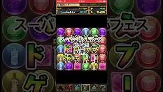 パズドラ　スーパーゴッドフェスガチャ！10連！