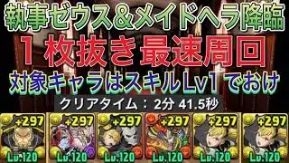 【最速1枚抜き編成】執事ゼウス＆メイドヘラ降臨ををずらし最速キコル編成で高速周回！？1枚抜きでは最速で周回できる編成になってます！【パズドラ】