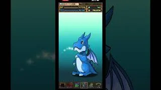 【パズドラ】デイトナかシーウルフ出るまで毎日動画視聴ガチャ1336日目！2025/11/18 #パズドラ #shorts