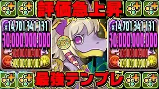 【最強爆誕】完全貫通2,500億ループ！魔改造されたガチャドラーズがヤバすぎる【パズドラ】