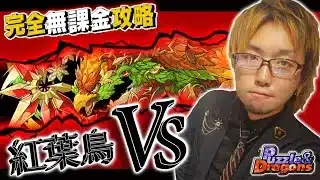 パズドラ完全無課金攻略=79