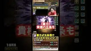 【貴様】アシストまでプラス891にしろと言う裏方 #たかし #パズドラ