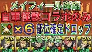 【自軍怪獣コラボのみ +891不要】メイフィール降臨を部位破壊×6の完全ずらしキコル編成で高速周回！？部位確定ドロップの武器代用多数ありの編成になってます！11月クエスト【パズドラ】
