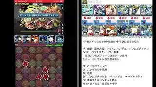 EXラッシュ 【11月クエスト】バツ丸ポチャッコ　攻略　パズドラ  2025.11