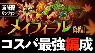 【メイフィール降臨】アシストなしロゼッタPTで魔法石6個回収！カノクロネ+カミムスビムーヴ痛すぎワロタ【パズドラ】