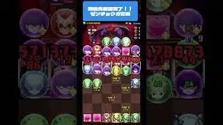 【パズドラ】新凶兆周回完了!ゼンチョウガ交換しました! #パズドラ #微課金攻略 #パズドラ微課金