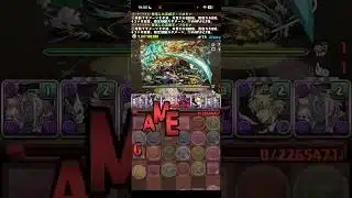 耐えてくれたら…【パズドラ】