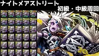 【周回編成メモ】ナイトメアストリート初級中級ポチポチ周回編成【パズドラ/ガンホーコラボ】