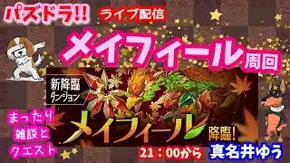 パズドラ🌟ライブ配信🌟メイフィール降臨クエスト周回&ガチャ🐕️まったり雑談枠🐶