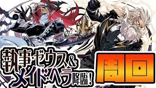 【#パズドラ】メイド復刻!執事ゼウス&メイドヘラをメイドネレでイイ感じに周回!