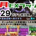 ［ガチャ禁攻略］12月EXラッシュをオールフォーワン&カルーアミルクで攻略してみた！#パズドラ　#無課金　#ガチャ禁　#攻略