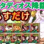 【2パターン】サンタゼウスディオス降臨をずらすだけ周回【パズドラ】