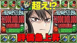 【勝率200%】環境最強ついに交代！攻略サイトで話題の最新亜白ミナ編成が無敵すぎた天境チャレンジ【パズドラ】