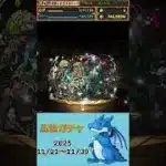 [パズドラ]  広告ガチャ　2025/11/21〜11/30