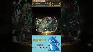 [パズドラ]  広告ガチャ　2025/11/21〜11/30