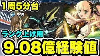 【5分9.08億経験値】楽パズル‼️僕のヒーローアカデミアコラボコロシアム ランク上げ用周回編成・立ち回り紹介！！【#僕のヒーローアカデミアコラボ】【パズル&ドラゴンズ/#パズドラ】
