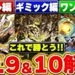 【パズドラ検定】これで勝てる！！全てのLv.9とLv.10の攻略のやり方について解説！！パズル編 ギミック編 ワンパン編【パズドラ実況】＃パズドラ ＃クリスマス