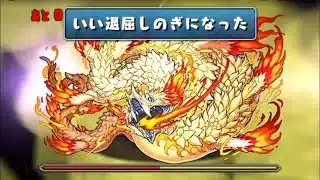 【完全攻略】検定クエスト・パズル編【パズドラ】