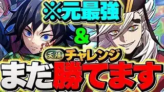 【最難関】童磨で天境チャレンジを攻略！元最強リーダーの力が凄い！立ち回り解説も！【パズドラ】