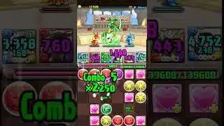 パズドラ！パズドラクロスアナ降臨可憐な龍喚士！クロス級