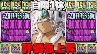 自軍1体でぶっ壊れ陣ループ⁉︎ 正月メタトロン最強の使い方がバレてしまう【パズドラ】