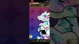 パズドラ　フェス限確定ガチャ×10連(ログボ)