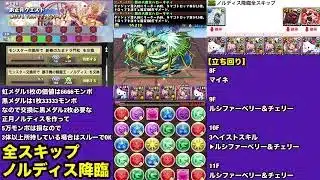 【11階層】遂に全スキップ‼️ノルディス降臨 周回編成・立ち回り紹介！！【パズル&ドラゴンズ/#パズドラ】