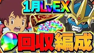 魔法石大量ゲット！1月EXラッシュを完全破壊！インペリアルドラモン編成！代用&立ち回り解説！！【パズドラ】