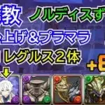 魔女教　スキル上げ＆プラマラ編成　レグルス2体　ノルディスずらし
