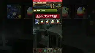 パズドラ　正月ガチャ5連！