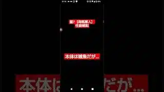 【パズドラ】本体＝雑魚、武器＝最強！星7【海馬瀬人】瞬間性能解説！ #パズドラ #遊戯王 #shorts