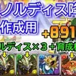 正月ノルディス降臨　891作成用（ノルディス×3＋正月キャラ1体）　無課金編成