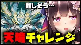 天境チャレンジするよん【Vtuber/雑談】【パズドラ】