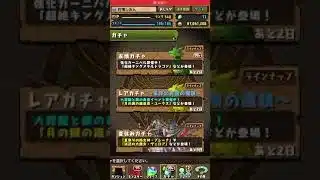 パズル&ドラゴンズ　　夏休みガチャ