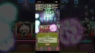いちごちゃんが強すぎる【パズドラ】