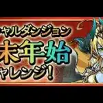 【パズドラ】ジュンブラロシェで挑む年末年始チャレンジ！