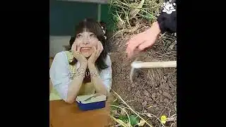 みんなのギャップ萌えする瞬間ってどんな時？😳💘#パズドラ #パズドラゼロ #ショートドラマ #高校生 #青春