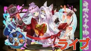 【パズドラ】14周年待ち2月パズドラ by白王子 2026/2/15