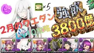 【パズドラ】エキドナ×ポンノ超強欲3800億ループで2月のクエダンLv10を攻略🦋「棘ドロップ無効｣(Re:ゼロから始める異世界生活)